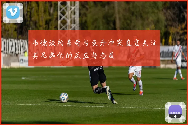 韦德谈约基奇与麦丹冲突直言关注其兄弟们的反应与态度