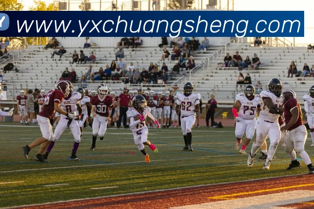 星空体育网址入口APP 高清赛事图